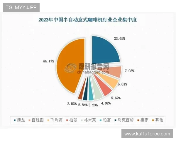 分析凯发集团简介资料中的市场定位与竞争策略以提升行业认知